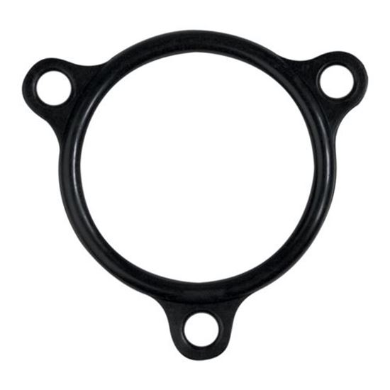 Picture of  Heater Flange Seal for Champion Part# 109985