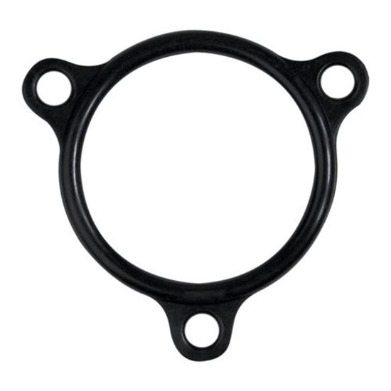 Picture of Heater Flange Seal for Champion Part# 109985