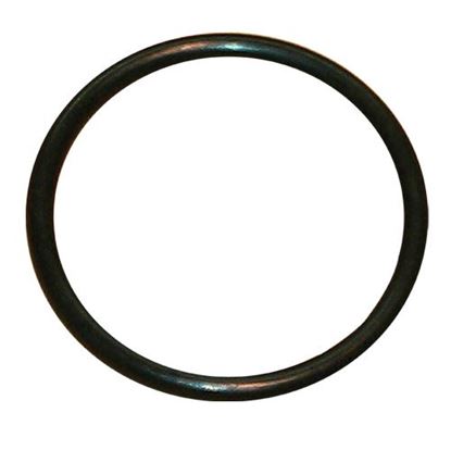 Picture of  O-ring for Champion Part# 113723