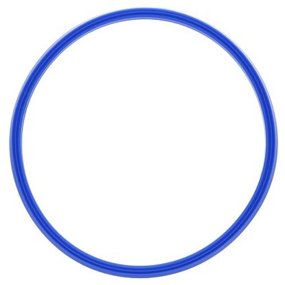 Picture of Gasket - Inspection Lid for Henny Penny Part# 5012.0566