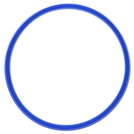 Picture of Gasket - Inspection Lid for Henny Penny Part# 5012.0566