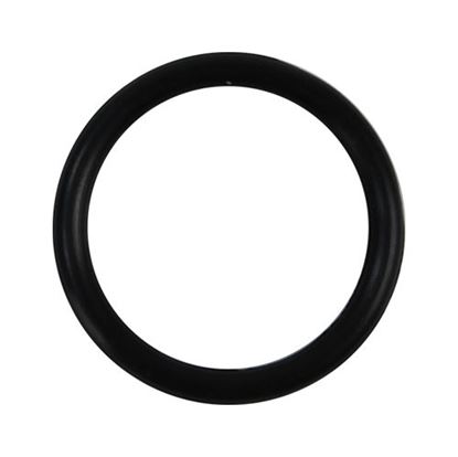 Picture of  O-ring for Champion Part# 108443