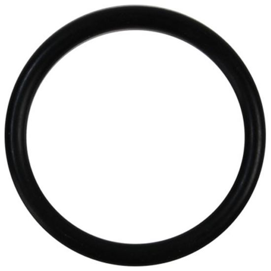 Picture of O-ring for Champion Part# 112257
