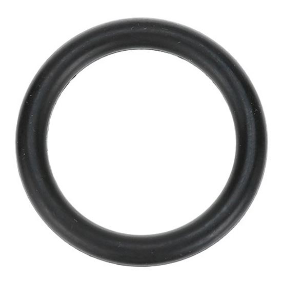 Picture of O-ring - 1-5/8" Od for Cma Dishmachines Part# 00208.00