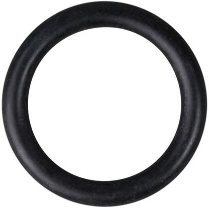 Picture of  O-ring - 1-5/8" Od for Cma Dishmachines Part# 00208.40