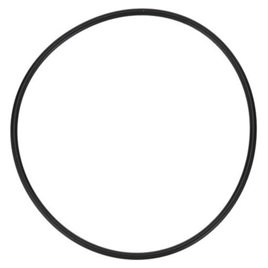 Picture of O-ring - 4-3/4" Od for Cma Dishmachines Part# 03226.00