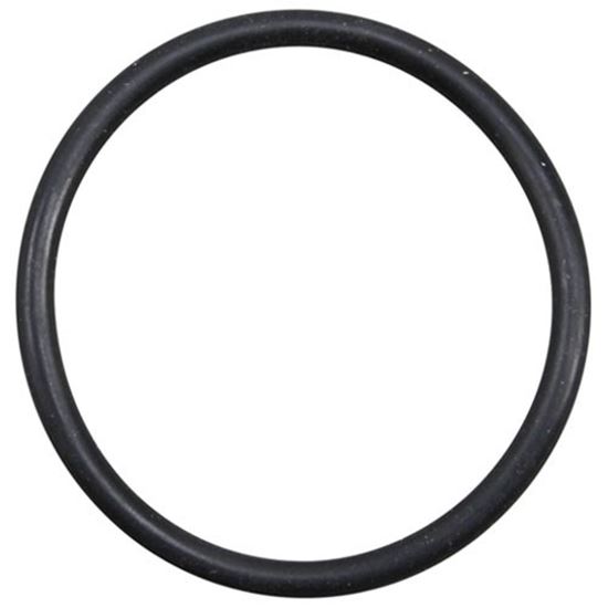 Picture of O-ring for Hoshizaki Part# 7616-G040