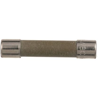 Picture of Ceramic Fuse for Groen Part# Z087946