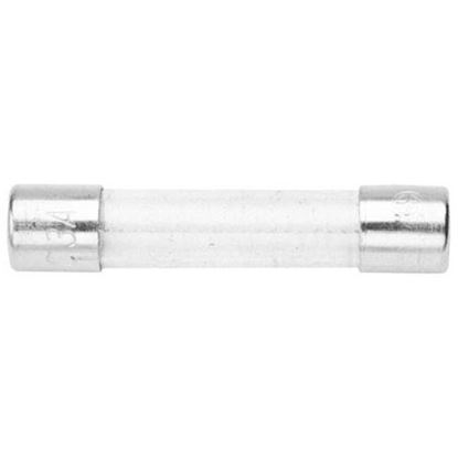 Picture of Glass Fuse for Market Forge Part# 10-5973