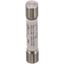 Picture of Fuse for Pitco Part# P5045702