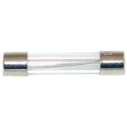 Picture of Fuse for Hoshizaki Part# 4A0893-07