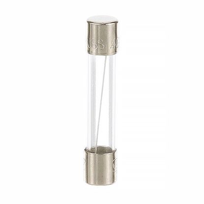 Picture of Fuse for Market Forge Part# S10-5973