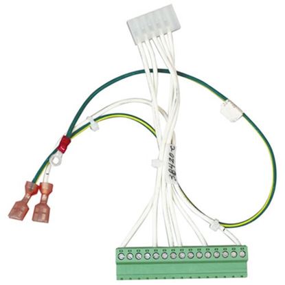 Picture of Harness Jumper Assy for Blodgett Part# 38420