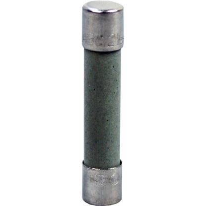 Picture of Fuse for Pitco Part# 60132703