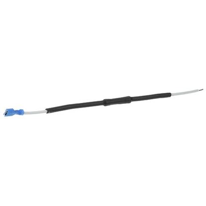 Picture of Fuse And Lead Assembly for Waring/Qualheim Part# 502853