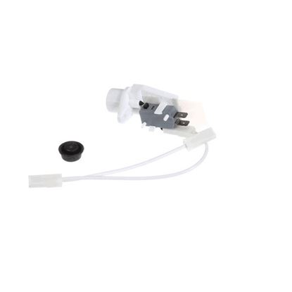 Picture of Switch Assembly for Robot Coupe Part# 39217