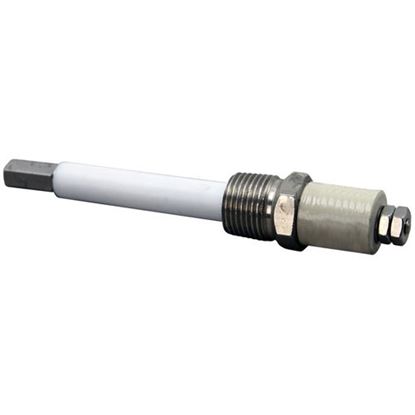 Picture of Electrode Probe for Cleveland Part# S40462