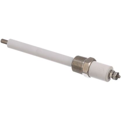 Picture of Probe for Groen Part# Z015589