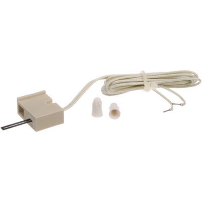 Picture of Ignitor for Southbend Part# 4440385
