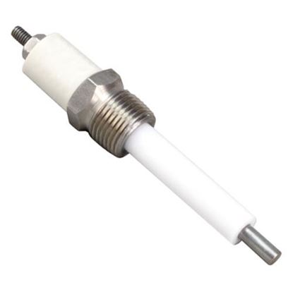 Picture of Water Level Electrode for Groen Part# 141285