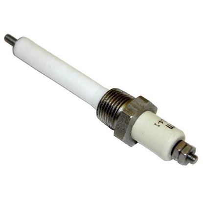 Water Level Electrode for Groen Part# Z014356