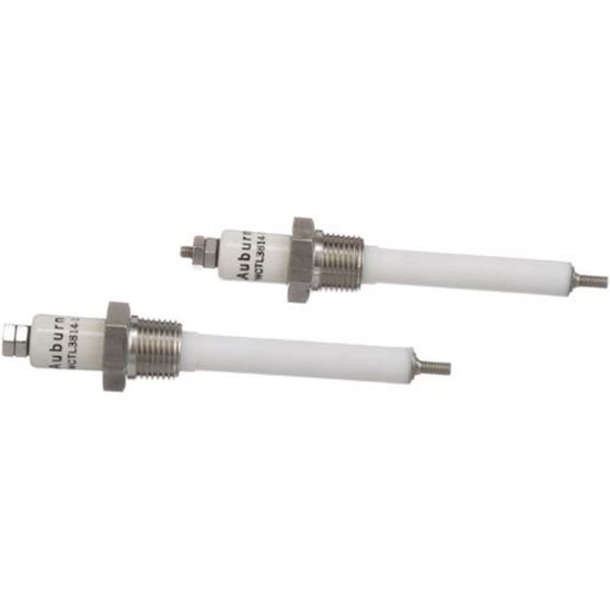 Picture of Water Level Electrode for Groen Part# Z014356