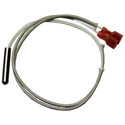 Picture of Thermistor Probe for Roundup Part# 7000462