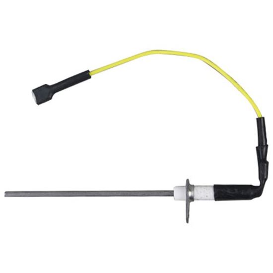 Picture of Flame Sensor for Groen Part# 148617