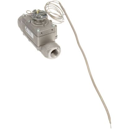 Picture of Thermostat for Blodgett Part# 11526