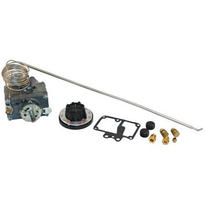 Picture of  Thermostat Kit for Anets Part# P8905-19