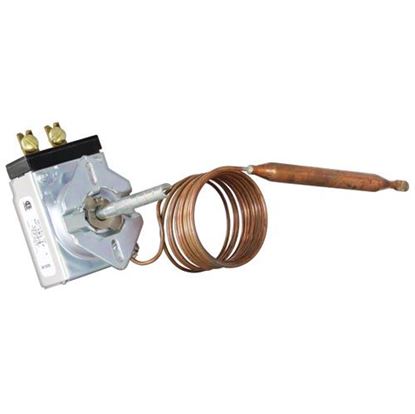 Picture of  Thermostat for Blickman Part# 61890
