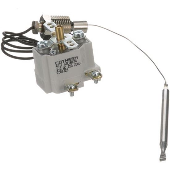 Picture of Thermostat for Champion Part# 0507323