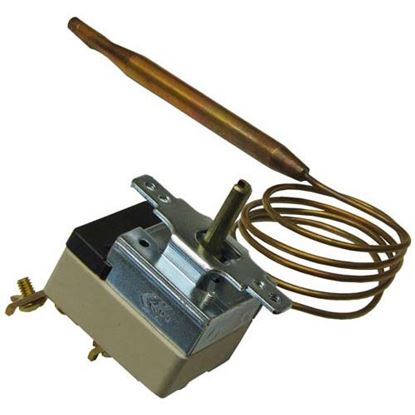 Picture of Thermostat for Roundup Part# 4030149