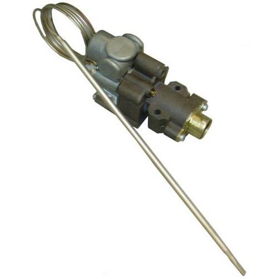 Picture of Thermostat for Tri-star Part# TS-1150