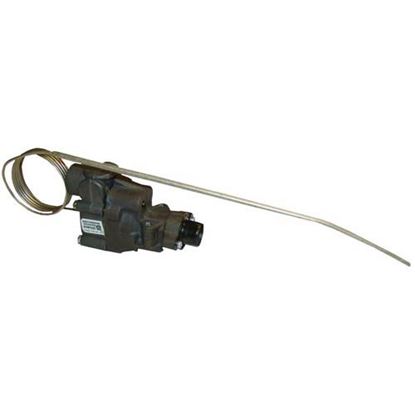 Picture of Thermostat for Montague Part# #32