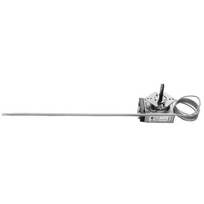 Thermostat for Duke Part# 600178
