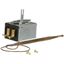 Picture of Thermostat for Roundup Part# 4030235