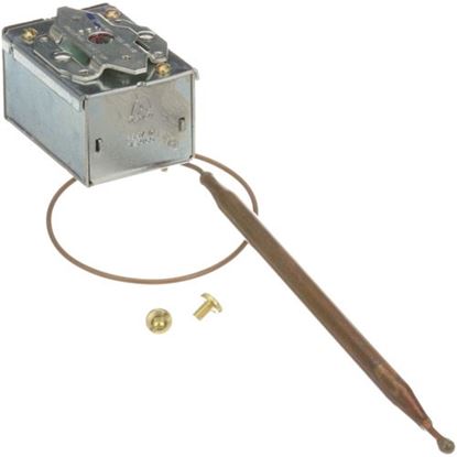 Picture of Thermostat for Roundup Part# 4030157