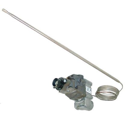 Picture of T'stat, Bjwa for DCS (Dynamic Cooking Systems) Part# 55763-01