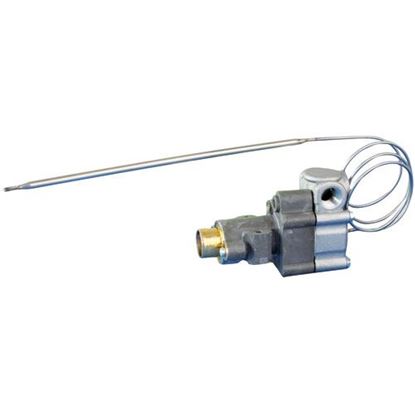 Picture of  Thermostat, Bjwa for Tri-star Part# TS-1100