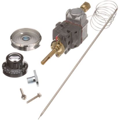 Picture of Thermostat for Southbend Part# 1188444