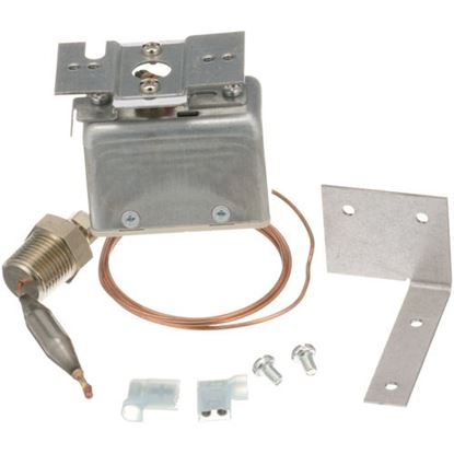 Picture of Safety Thermostat for Market Forge Part# 97-6278