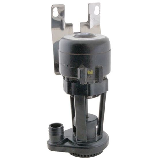 Picture of Pump,water (115 Volt) for Manitowoc Part# 7625523