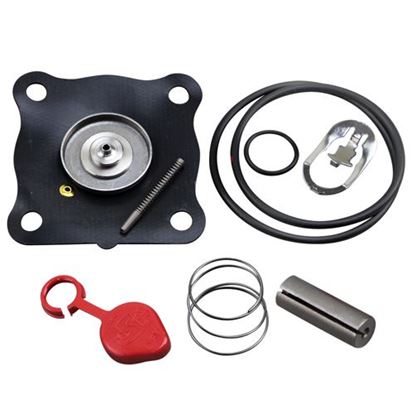 Picture of  Repair Kit for Asco Part# 160130