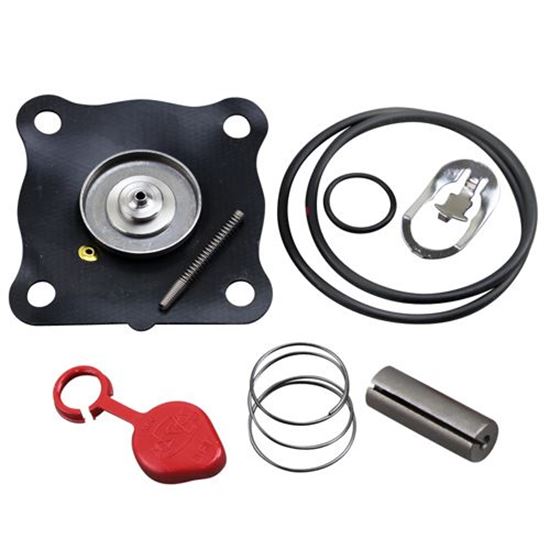 Picture of  Repair Kit for Asco Part# 160130
