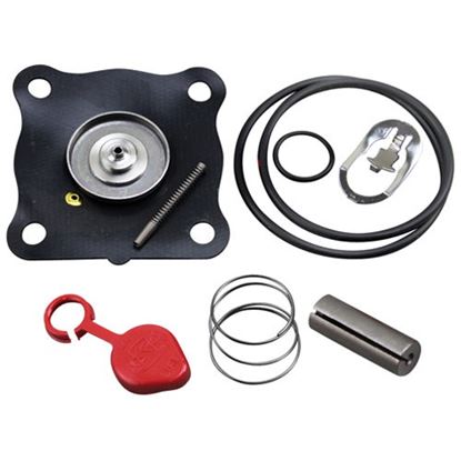 Picture of Repair Kit for Champion Part# 104735