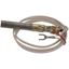 Picture of Thermopile for Cleveland Part# 20410