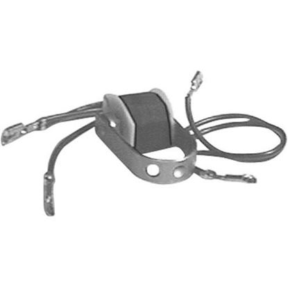 Picture of Coil, Auto Reset Timer for Henny Penny Part# 16659