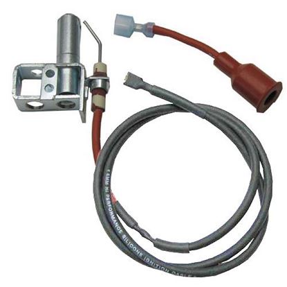 Picture of  Burner Ignitor for Lincoln Part# 369076