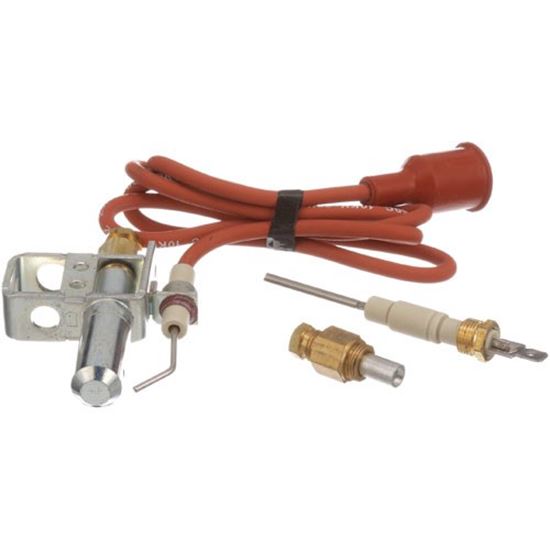 Picture of Ignitor Pilot for Johnson Controls Part# J987DDW
